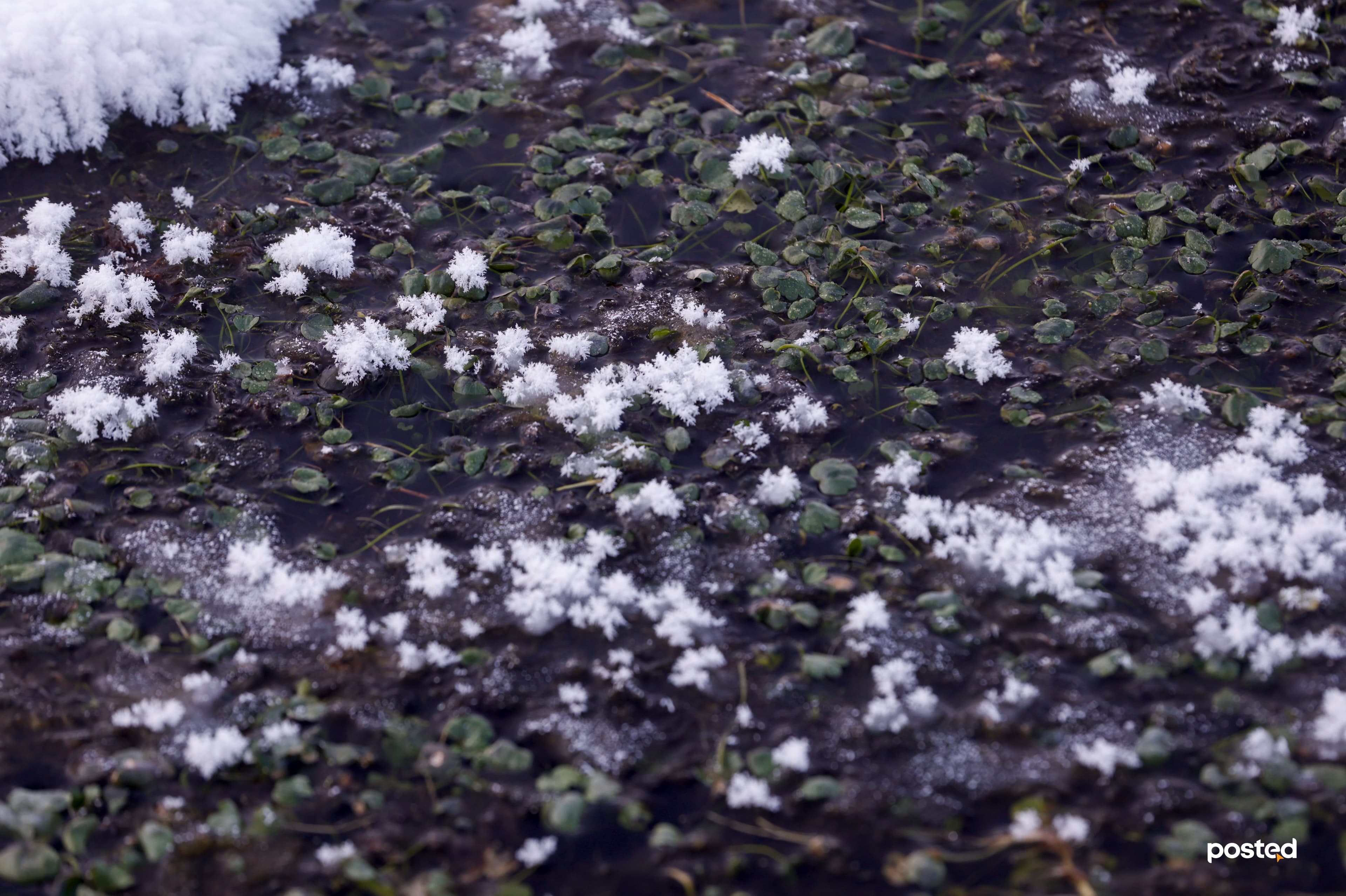 Баяртай өвөл минь: Жаргант голын цаст үзэсгэлэн нийтлэлийн зураг