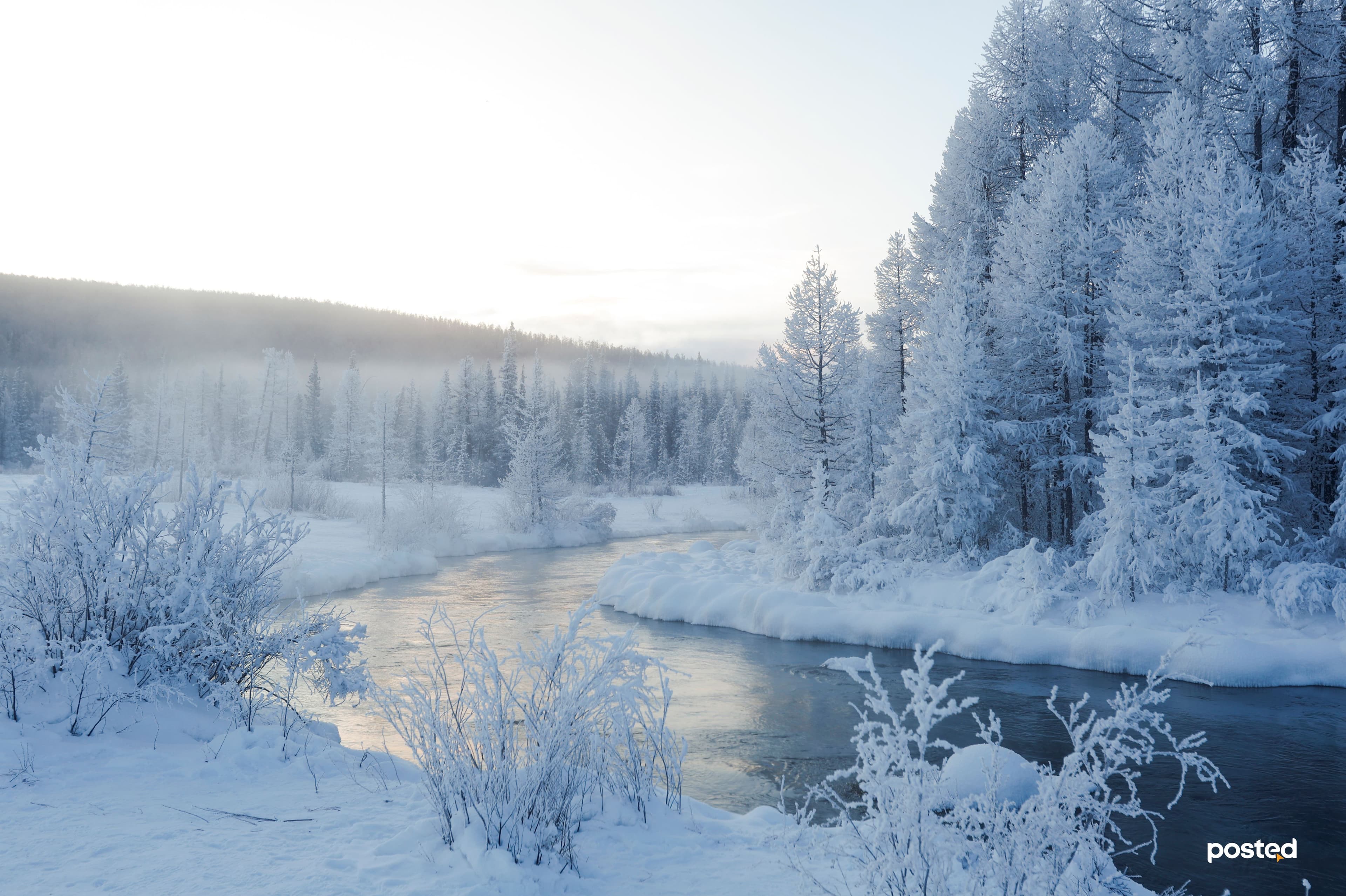 Баяртай өвөл минь: Жаргант голын цаст үзэсгэлэн нийтлэлийн зураг