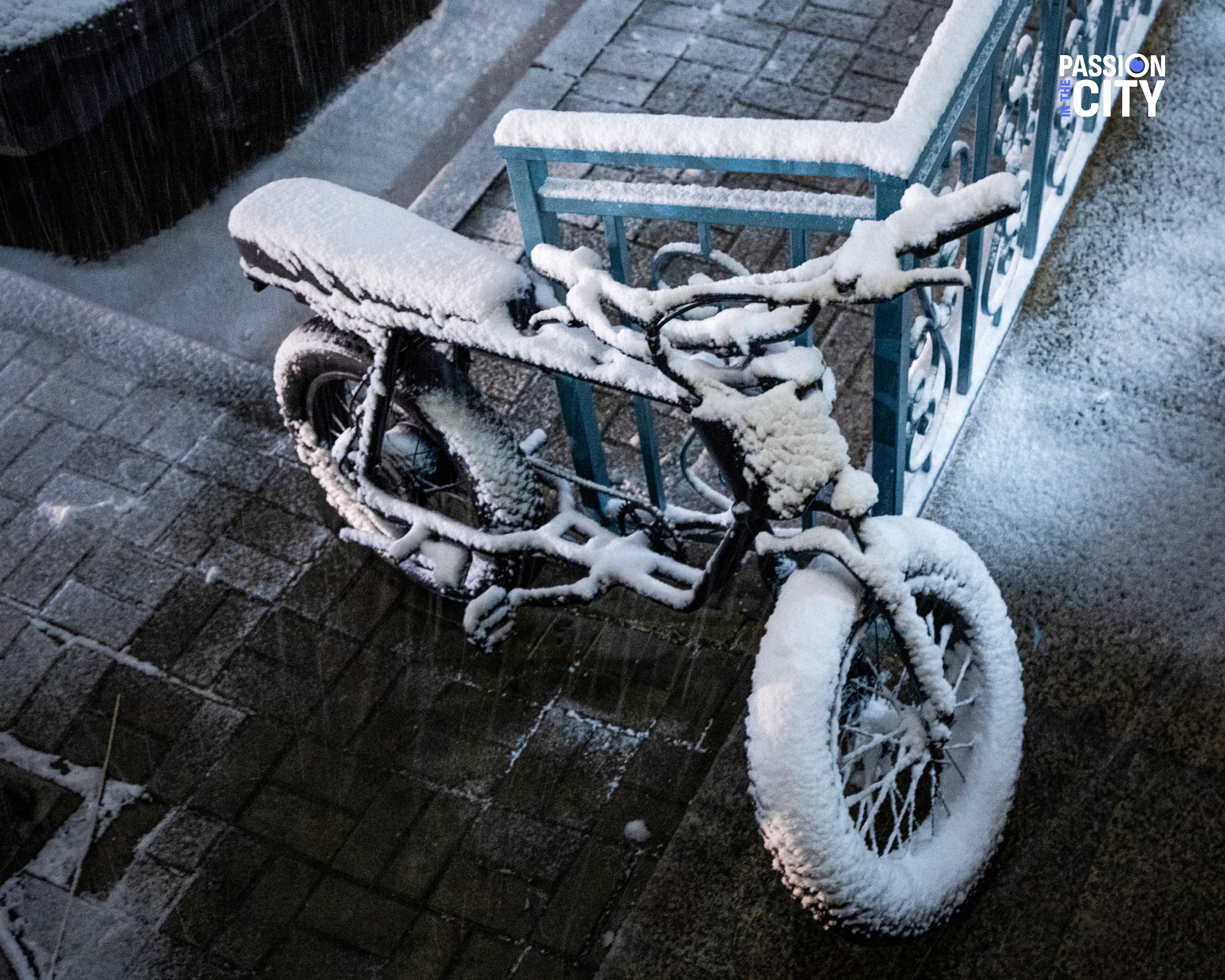 Passion in the city: Улаанбаатарын хавар нийтлэлийн зураг