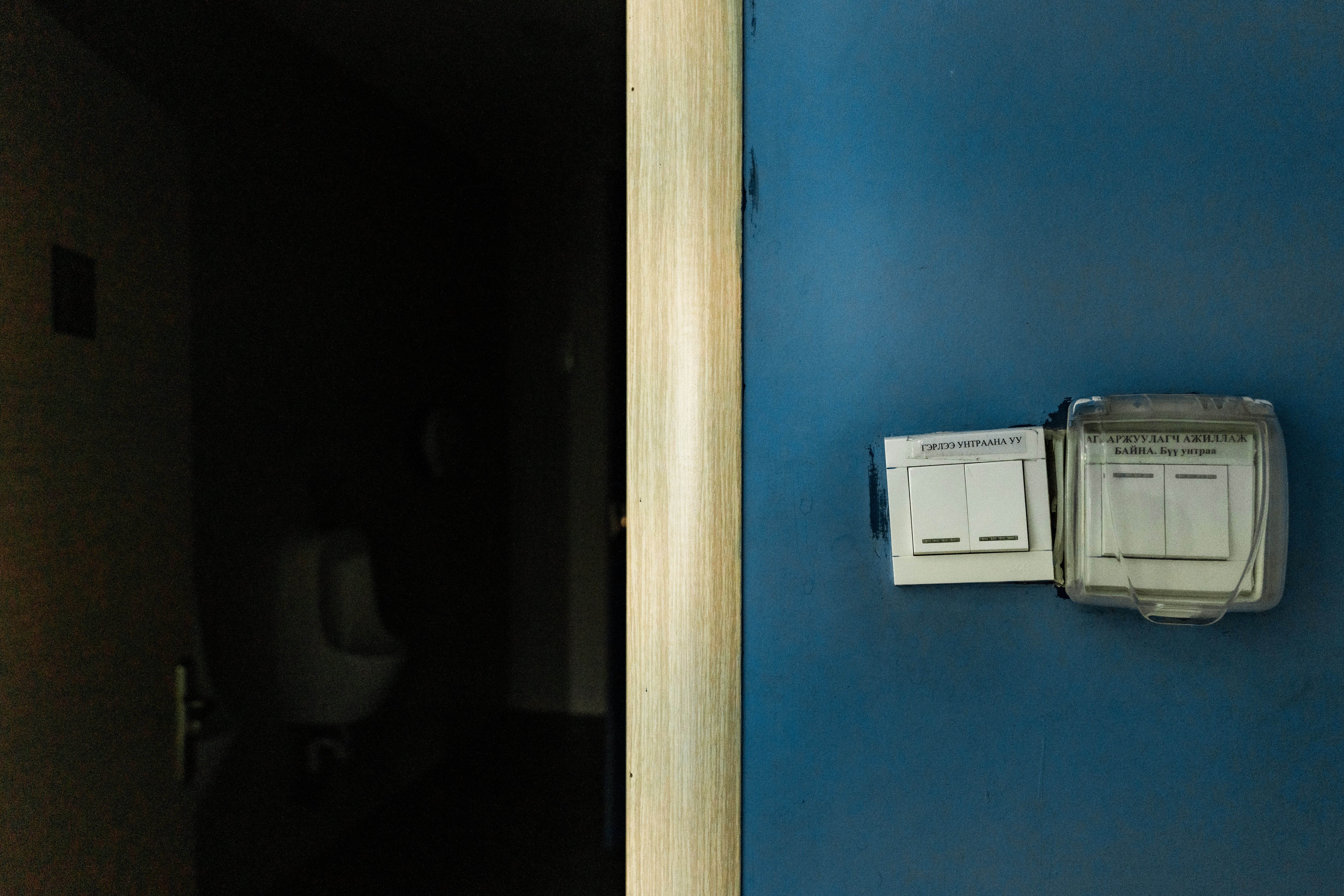 ЭКО буюу байгальд ээлтэй гэх үгийн ард нийтлэлийн зураг