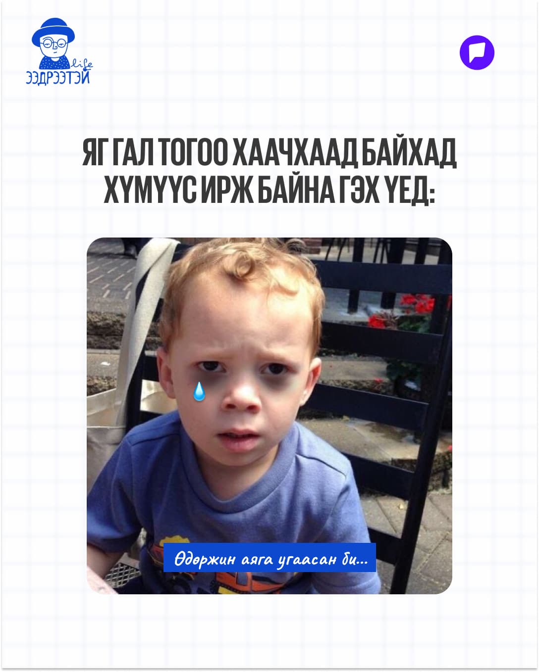 Шинийн 3-ны мийм: Жаахан инээнгээ буузаа шингээцгээе! нийтлэлийн зураг