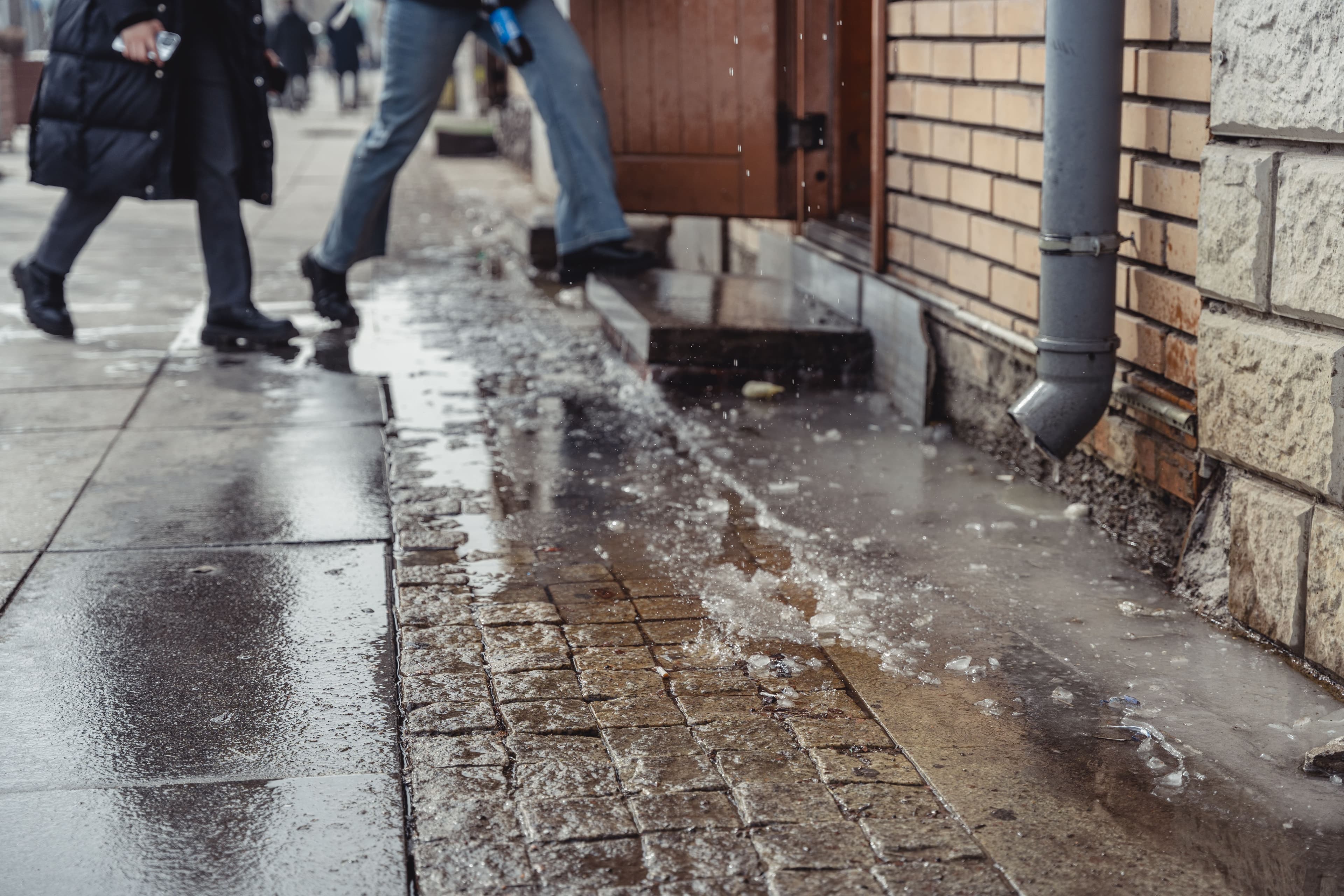 Photo playlist: Цас хайлах цагаар нийтлэлийн зураг