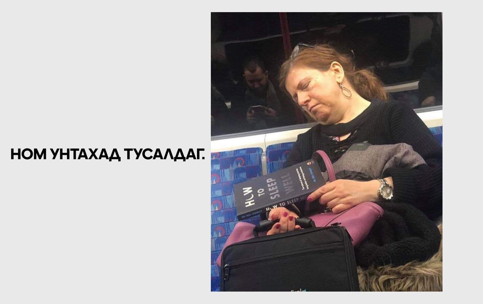 Хүн төрөлхтний салшгүй нэгэн соёл: Ном унших нийтлэлийн зураг