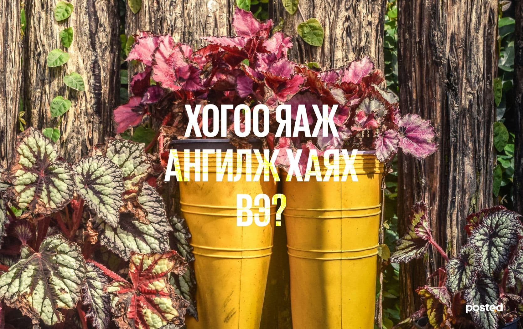 Байгальд ээлтэй байх нь: Хогоо хэрхэн зөв ангилах вэ? - нийтлэлийн зураг