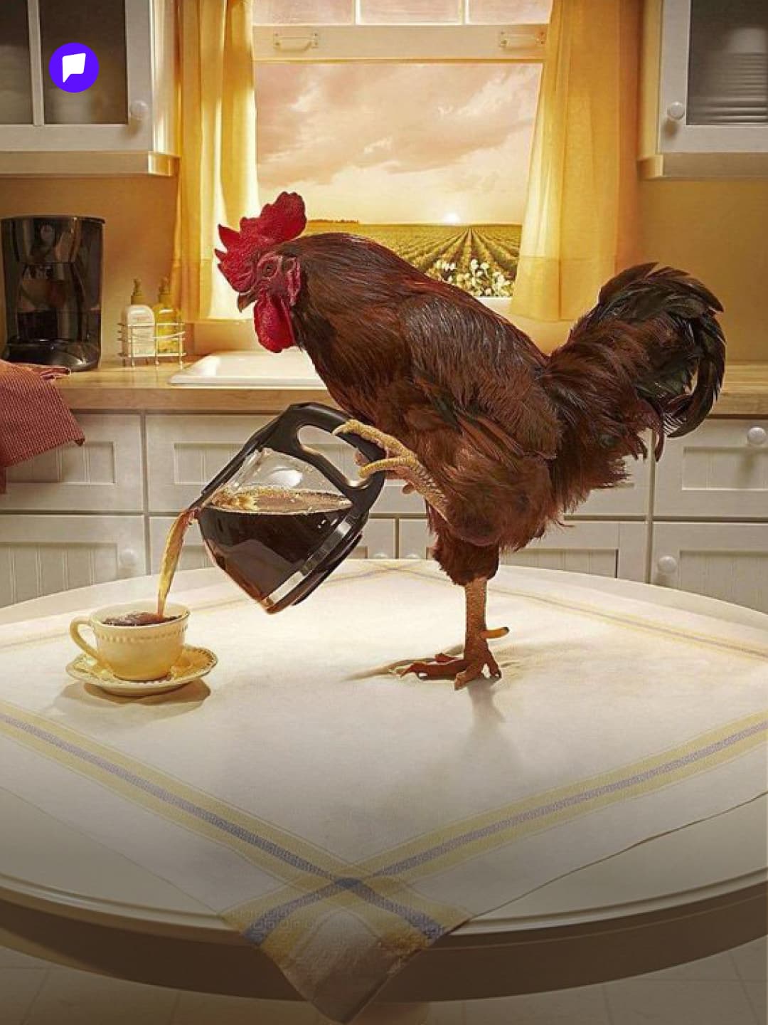 Бид өглөө хэдэн цагт босох ёстой вэ? - нийтлэлийн зураг (гар утасны хувилбар)