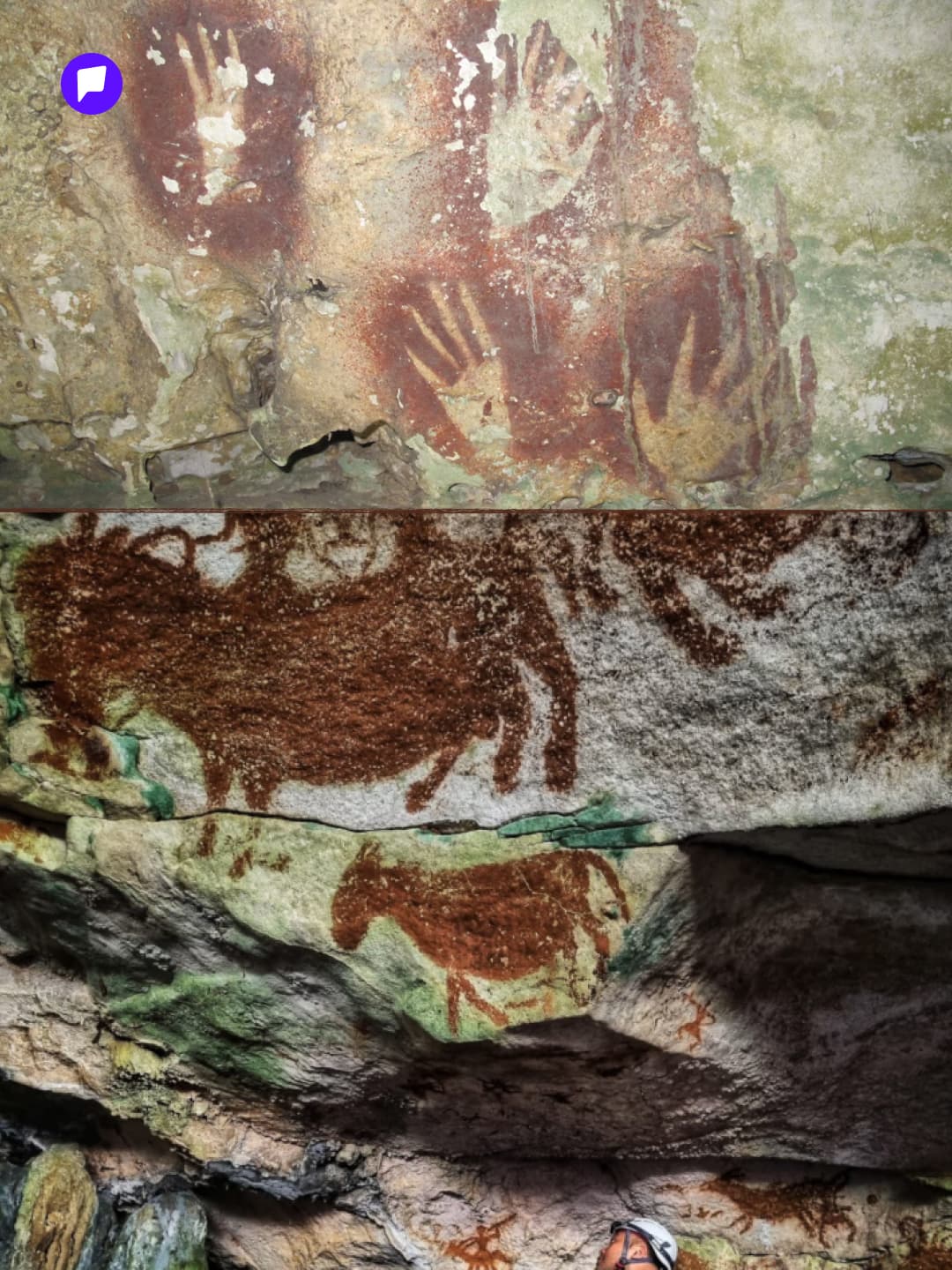 Дэлхийн хамгийн эртний хадны зураг Индонези улсаас олджээ - нийтлэлийн зураг (гар утасны хувилбар)