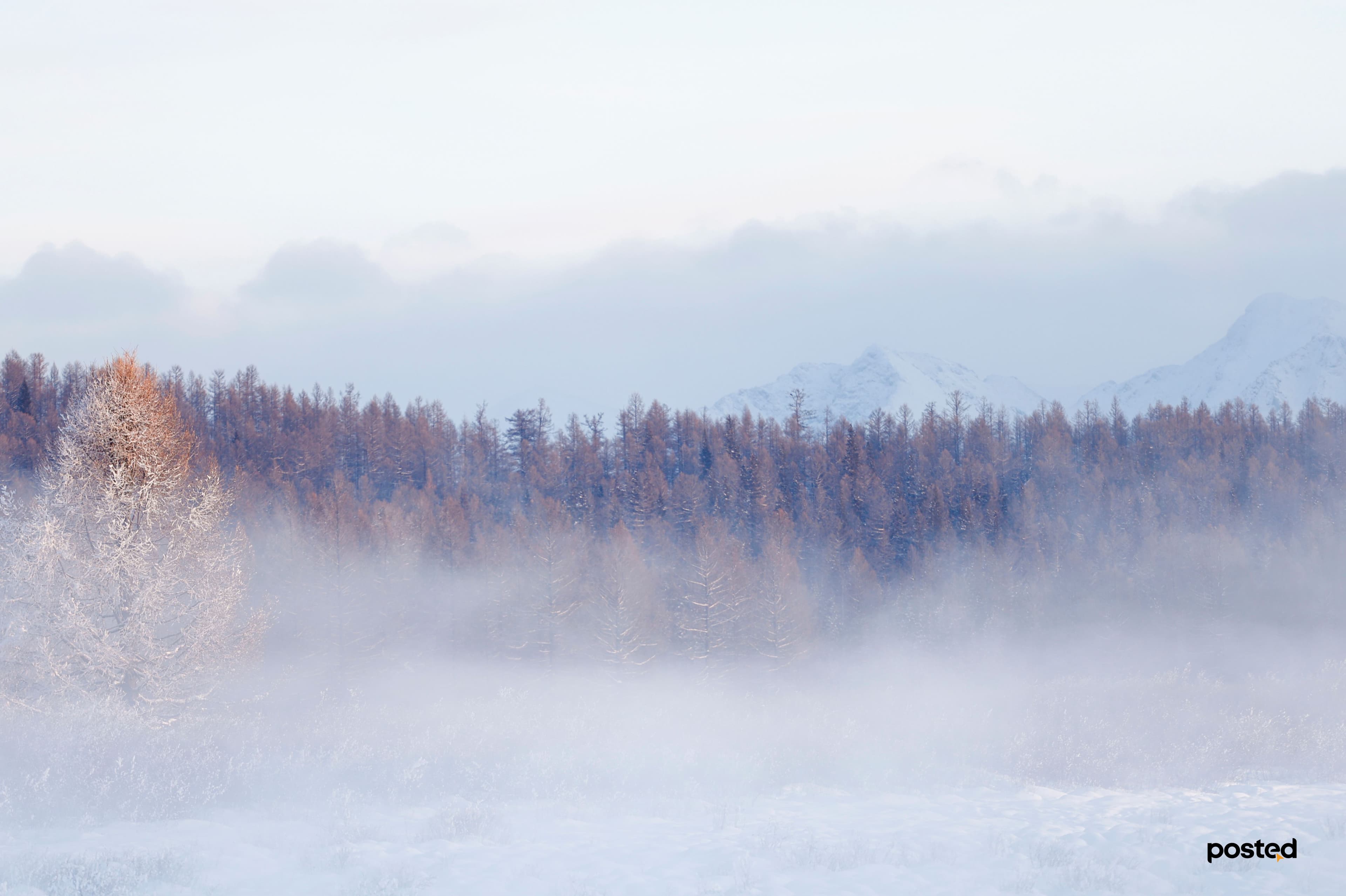 Баяртай өвөл минь: Жаргант голын цаст үзэсгэлэн нийтлэлийн зураг