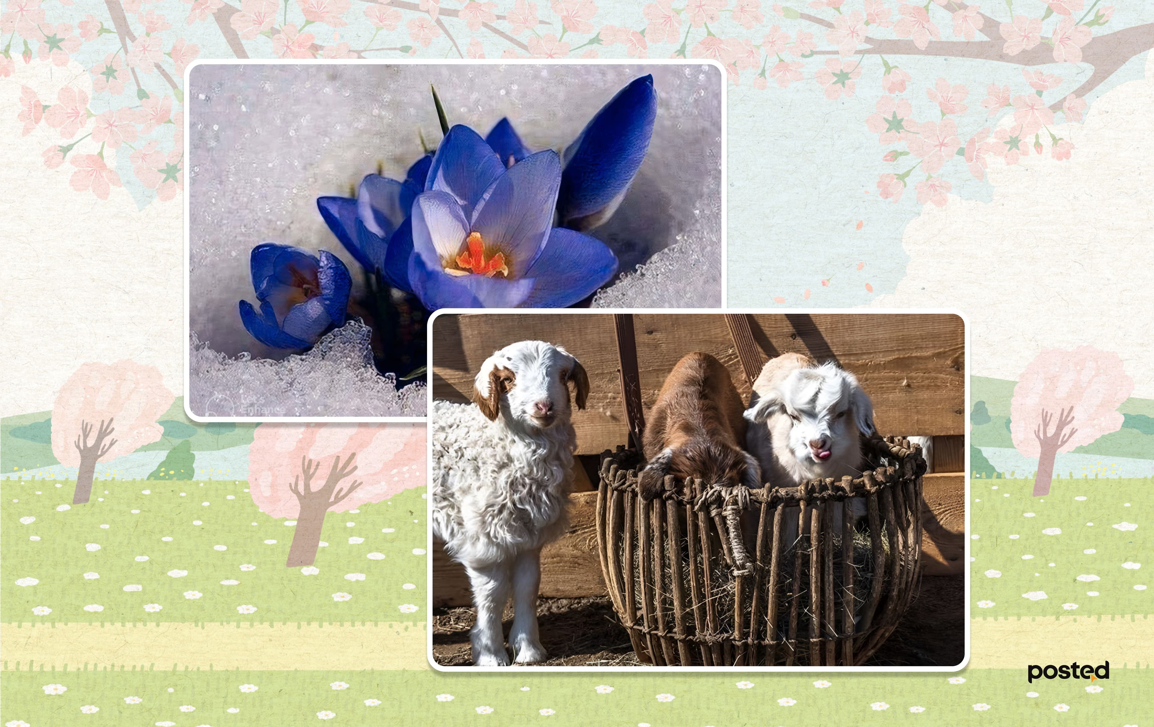 Ингээд хавар намайг “ЭМОРУУЛАХААР” ирлээ гэж үү? нийтлэлийн зураг