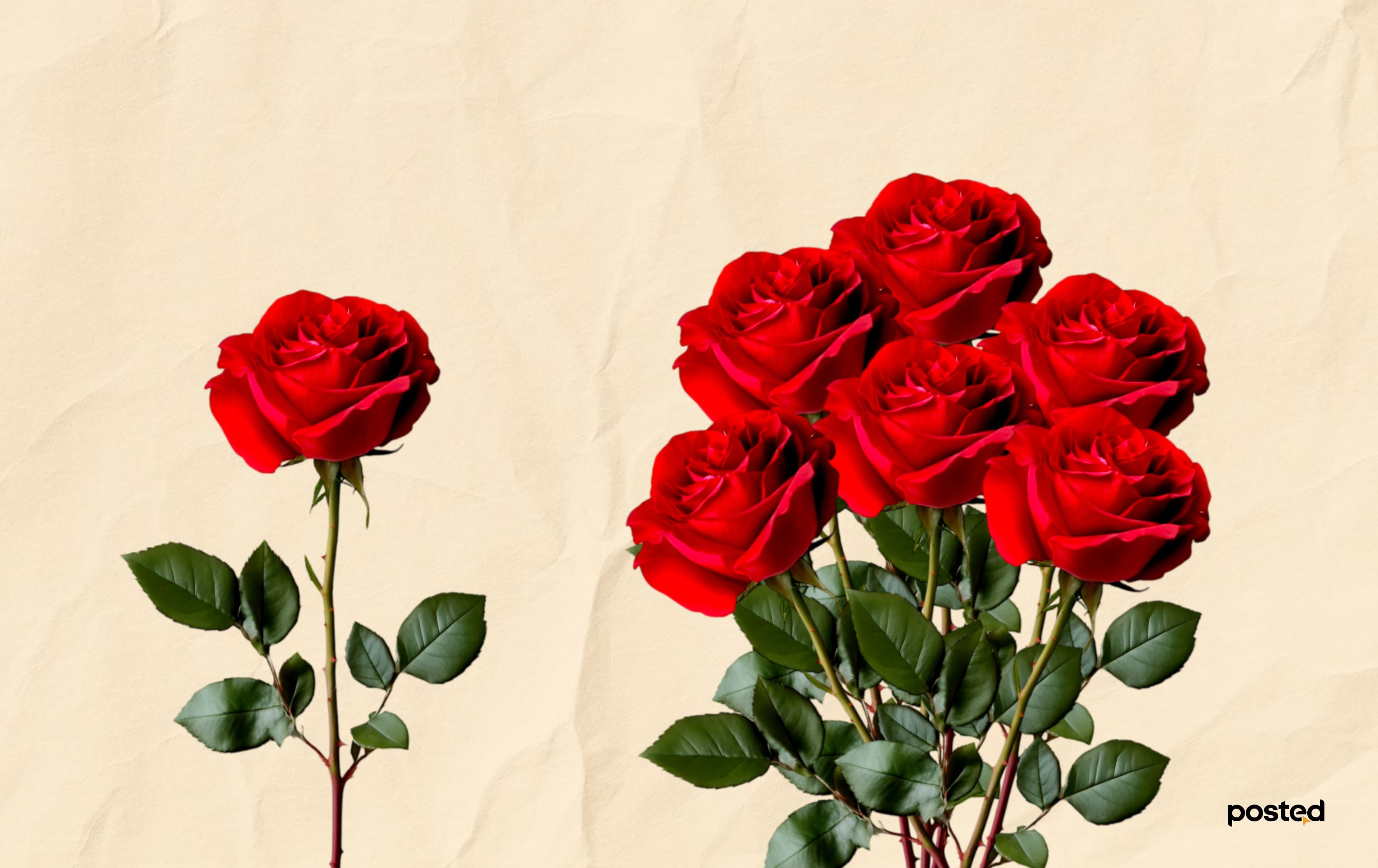 Цэцэгсийн нууцад нэвтрэхүй: Цэцгийн бэлгэдэл нийтлэлийн зураг