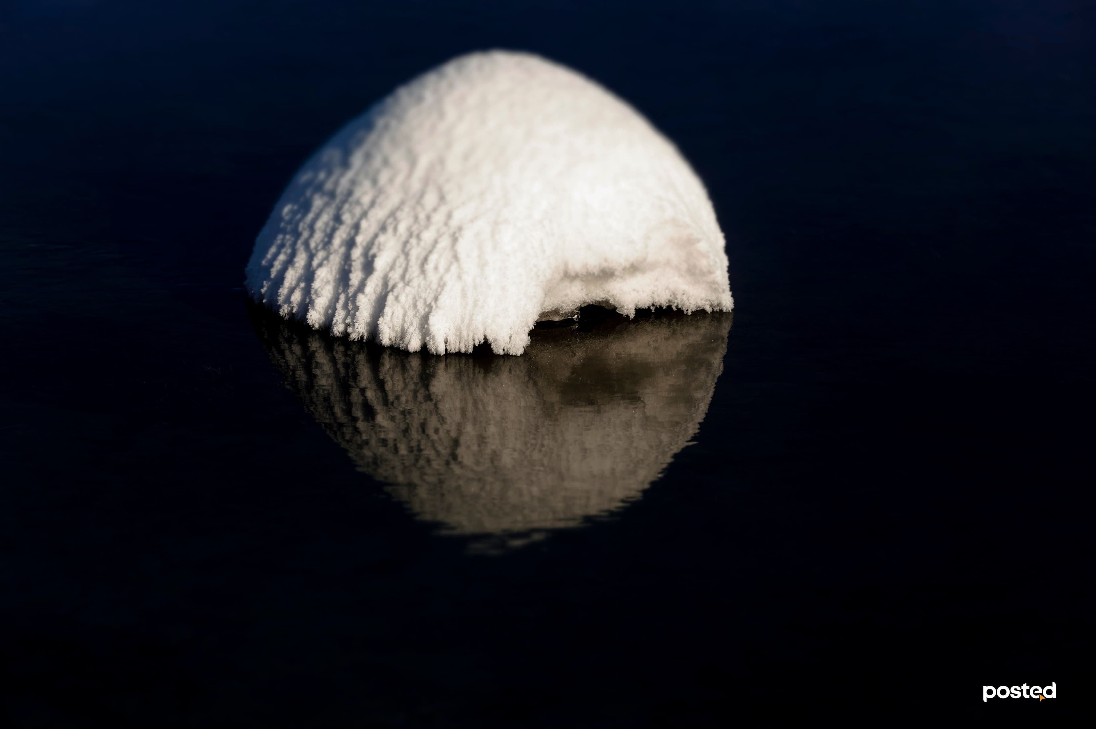 Баяртай өвөл минь: Жаргант голын цаст үзэсгэлэн нийтлэлийн зураг