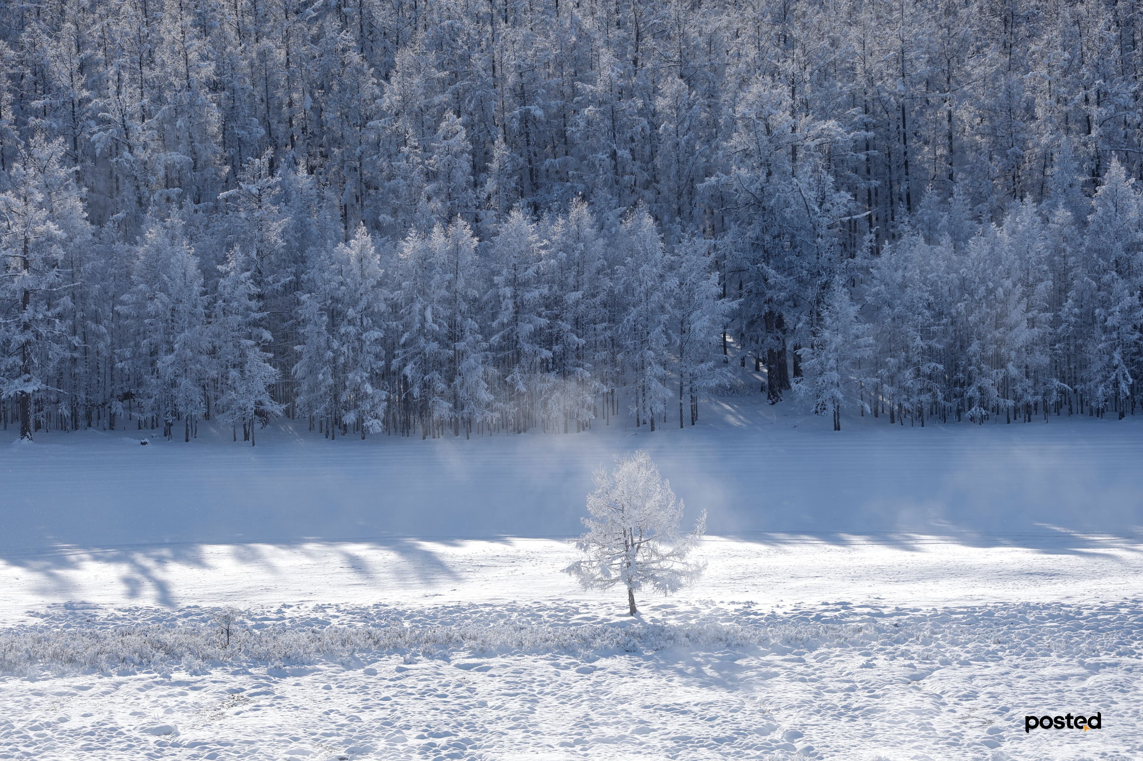 Баяртай өвөл минь: Жаргант голын цаст үзэсгэлэн нийтлэлийн зураг