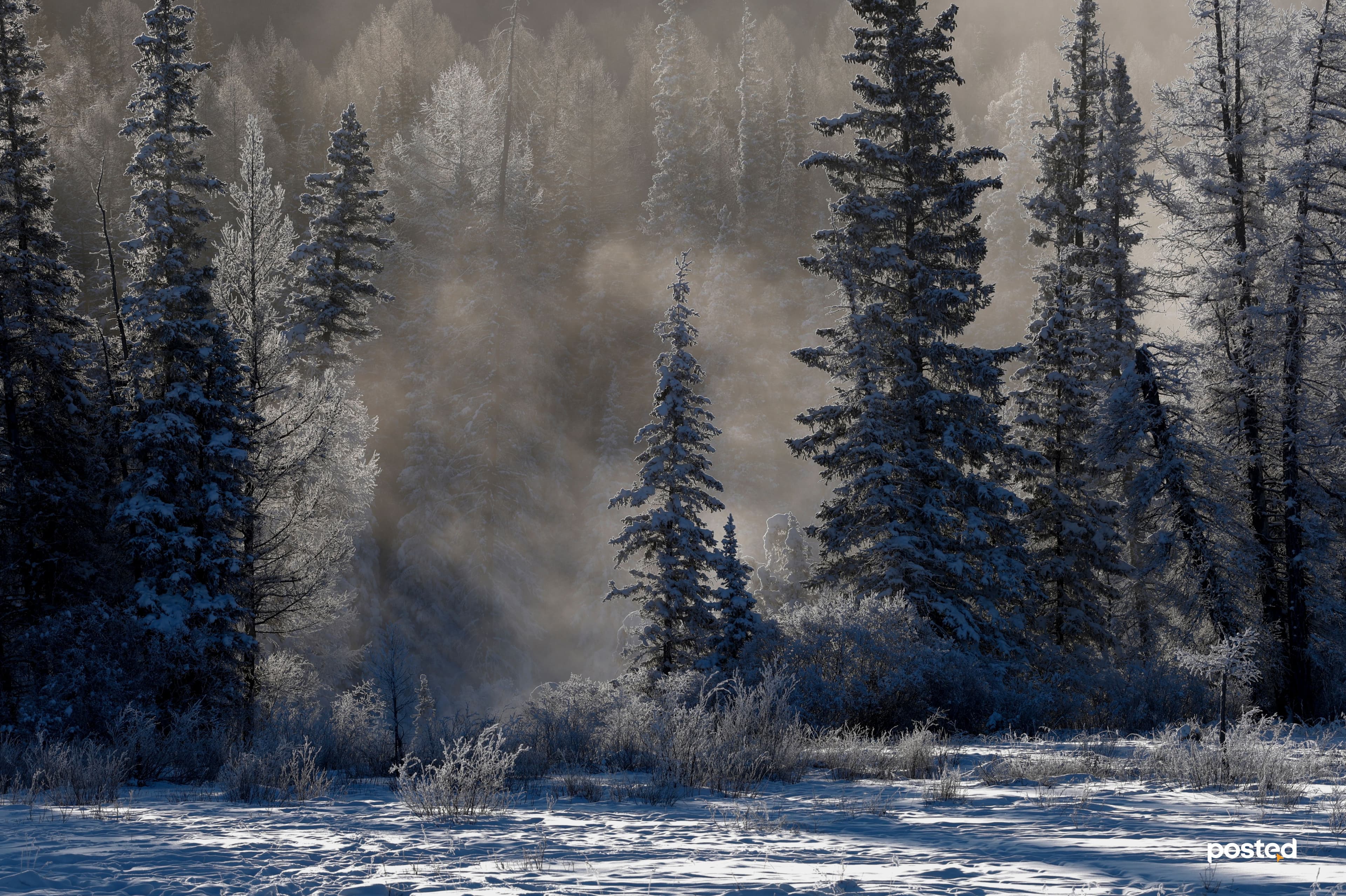 Баяртай өвөл минь: Жаргант голын цаст үзэсгэлэн нийтлэлийн зураг