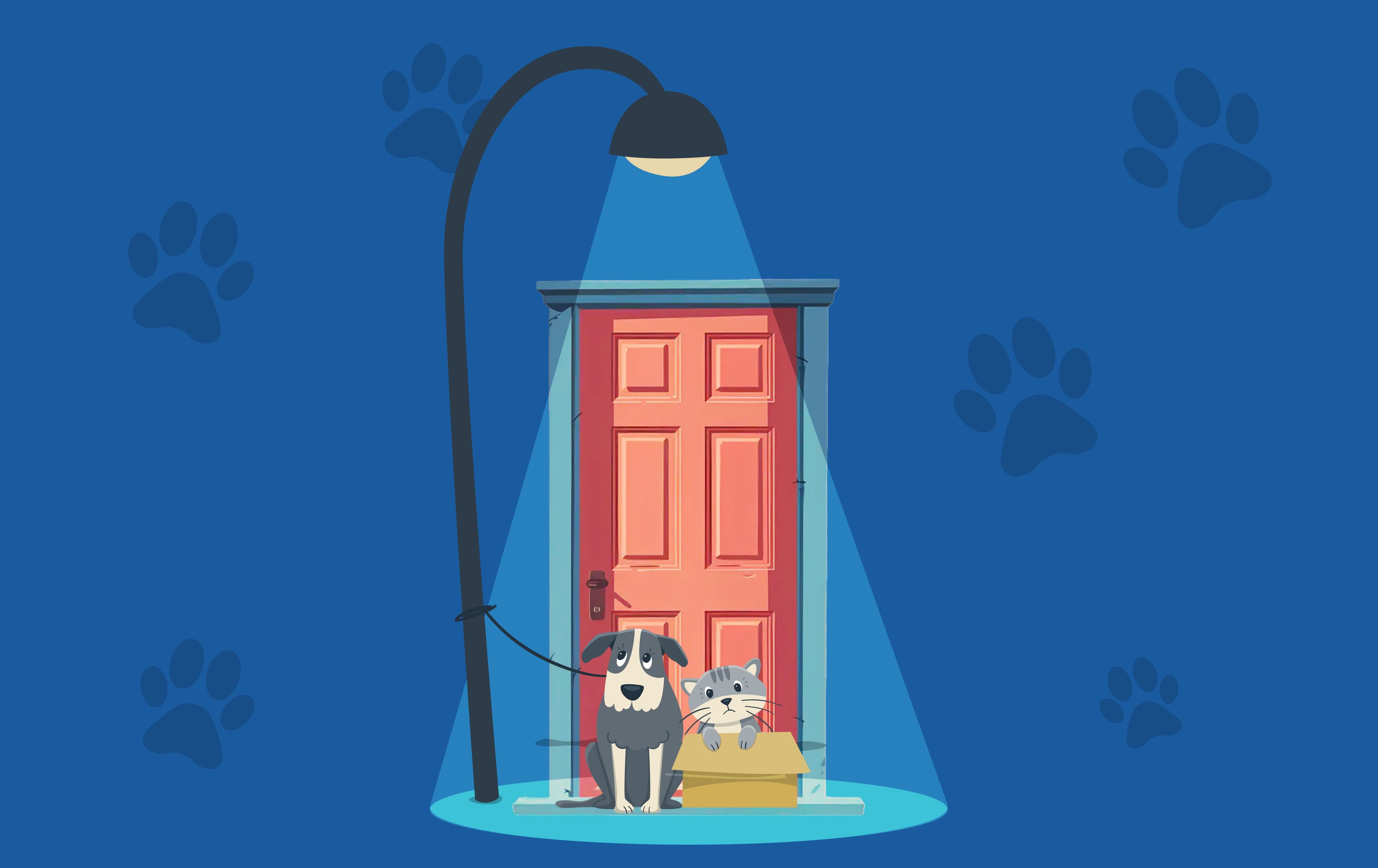 Амьтан тэжээхээс өмнө таны зайлшгүй мэдэх ёстой 10 зүйл нийтлэлийн зураг