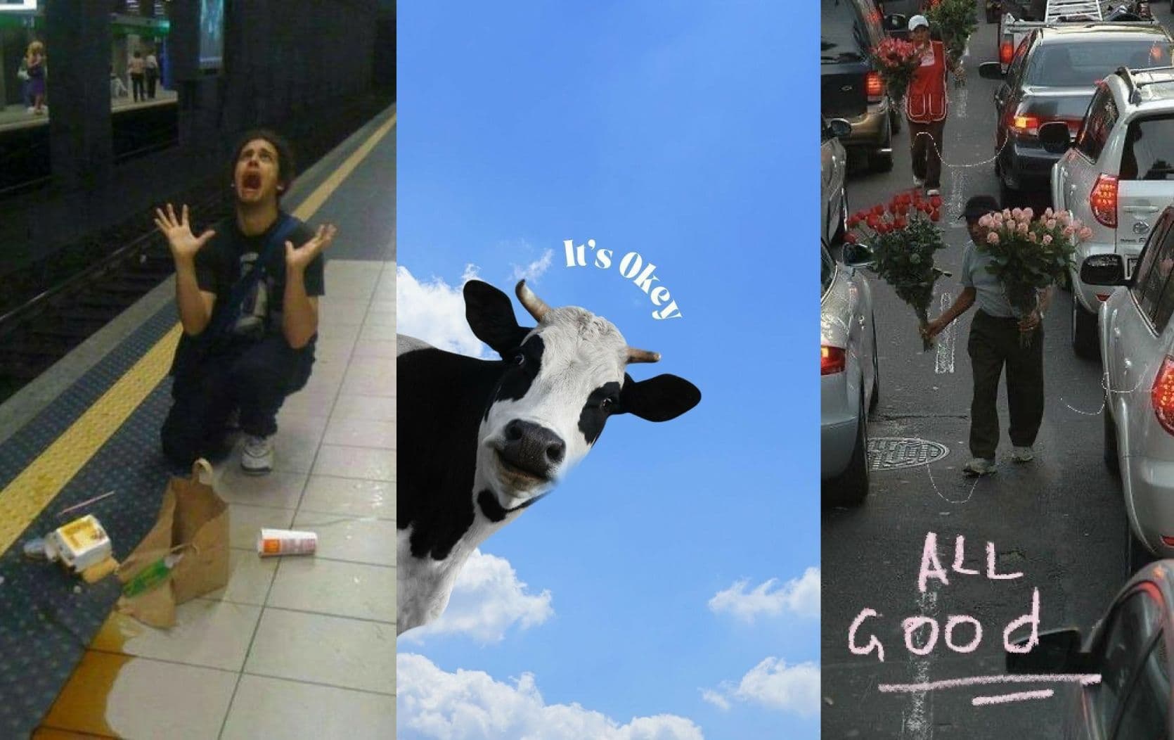 Хэрхэн бие даан амьдрах вэ? нийтлэлийн зураг