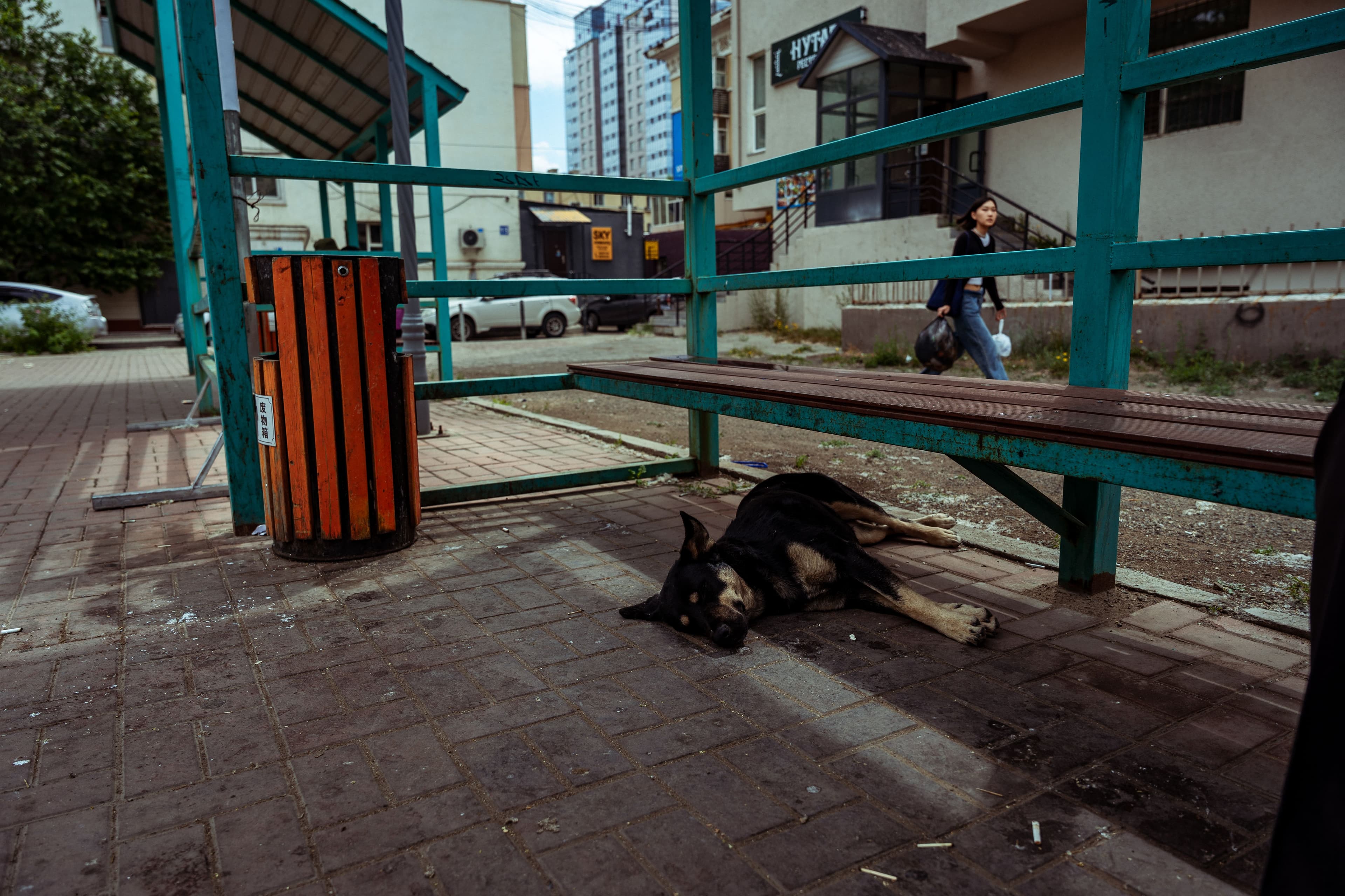 Фото цуврал: Одоо... нийтлэлийн зураг