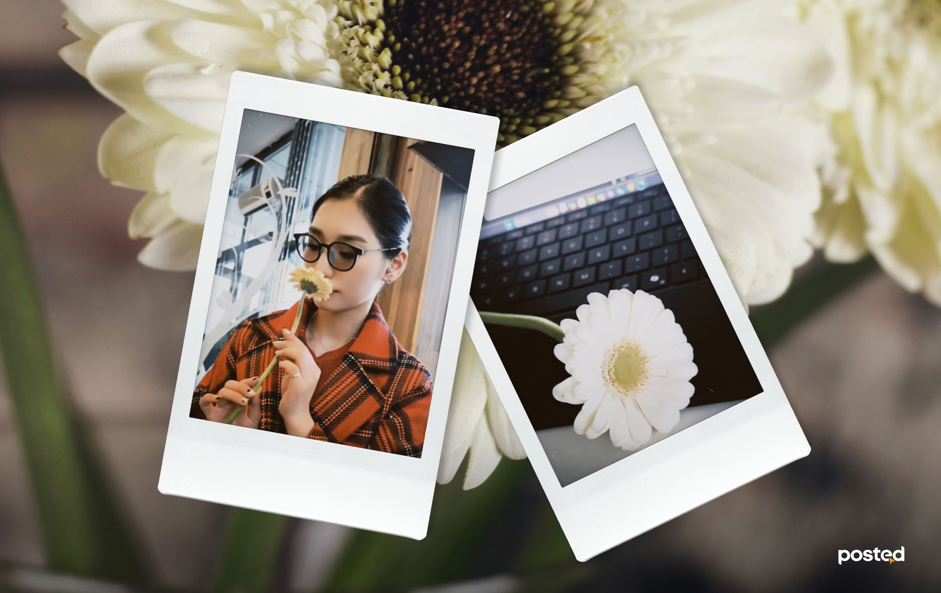 Сэтгүүлч туршлаа: 6 өдөр өөртөө цэцэг бэлэглэхэд гарах 6 өөрчлөлт нийтлэлийн зураг