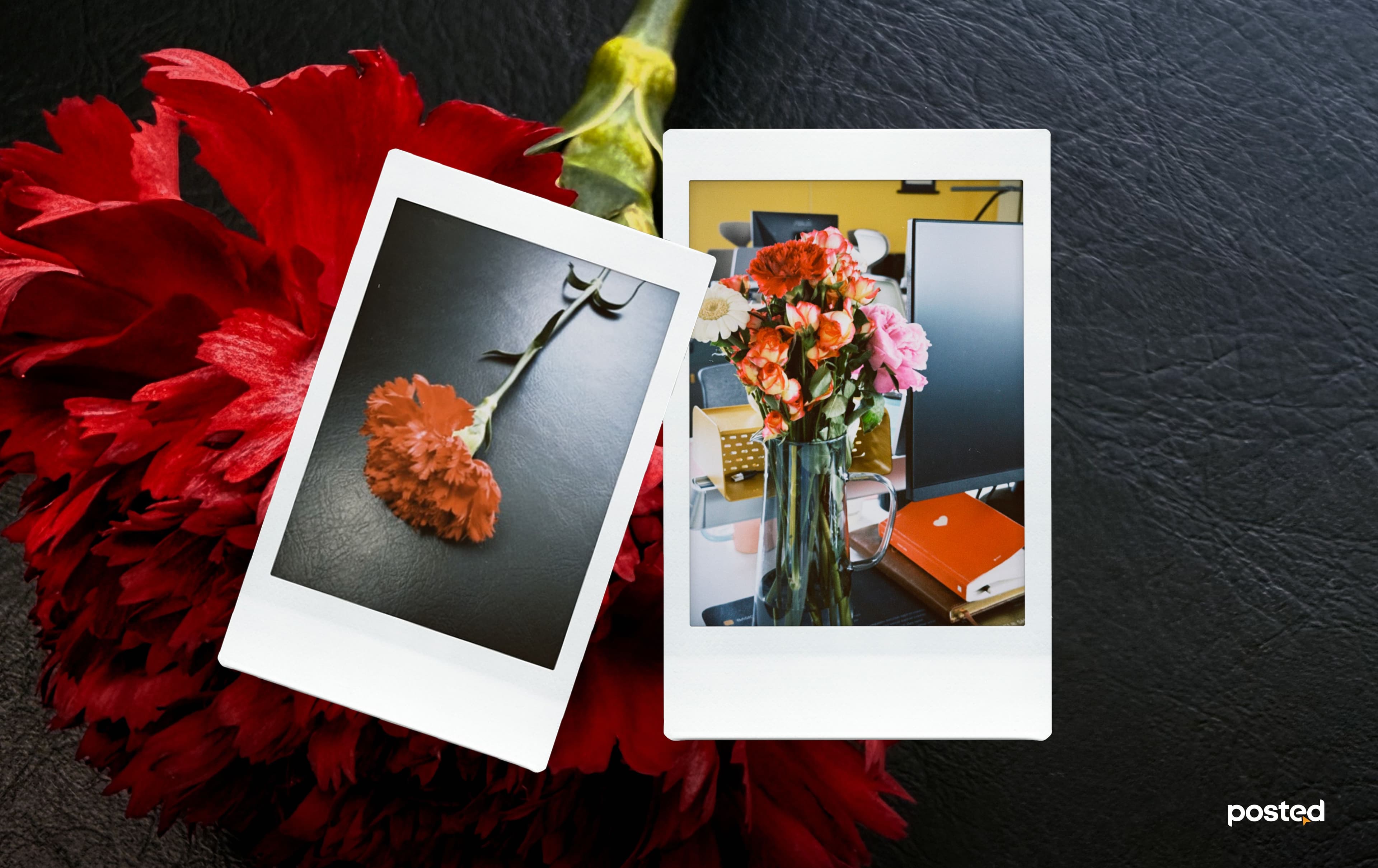 Сэтгүүлч туршлаа: 6 өдөр өөртөө цэцэг бэлэглэхэд гарах 6 өөрчлөлт нийтлэлийн зураг