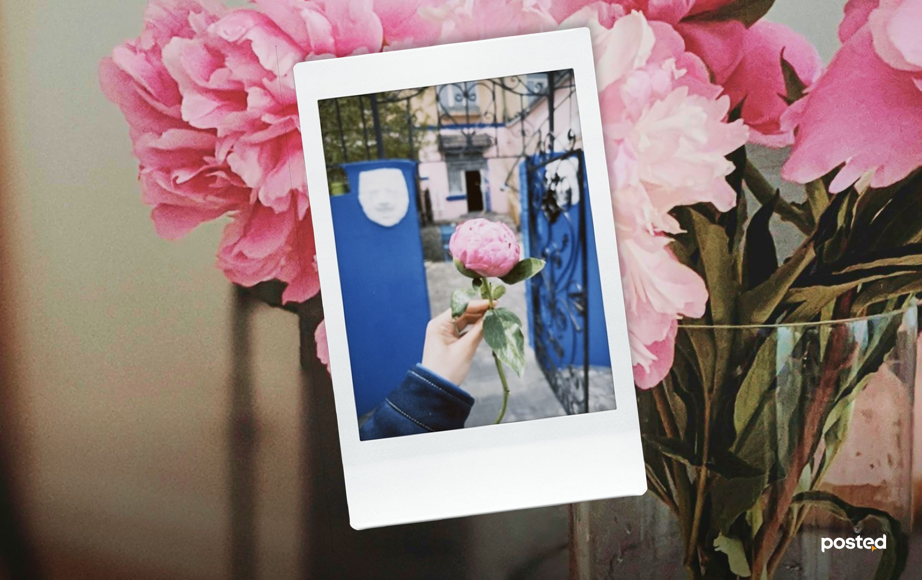 Сэтгүүлч туршлаа: 6 өдөр өөртөө цэцэг бэлэглэхэд гарах 6 өөрчлөлт нийтлэлийн зураг