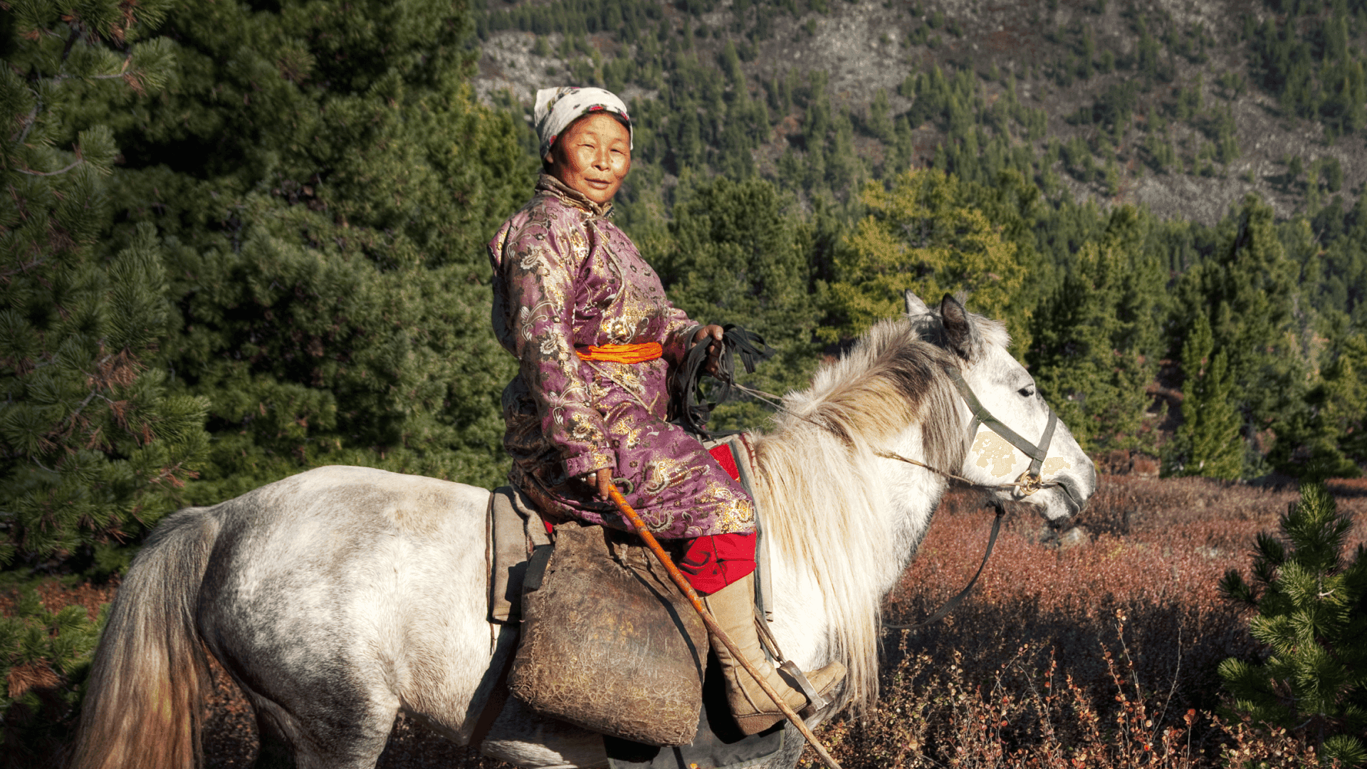 Монголчуудын библи юу вэ? “МОНГОЛ ХҮН” цуврал нийтлэлийн зураг