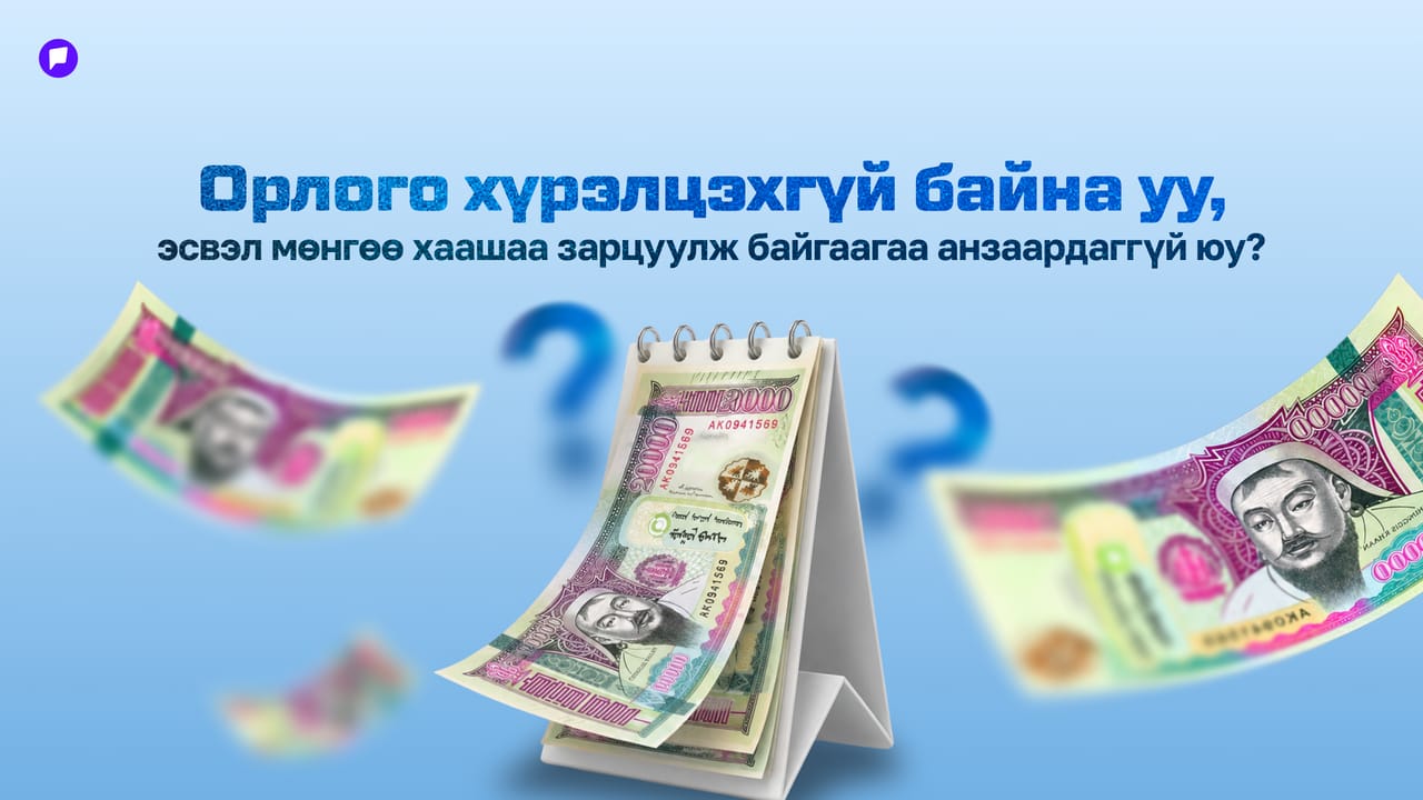 Шийдлийн тэмдэглэл: Хувийн орлого, зарлагаа тооцох ямар шийдэл байна?