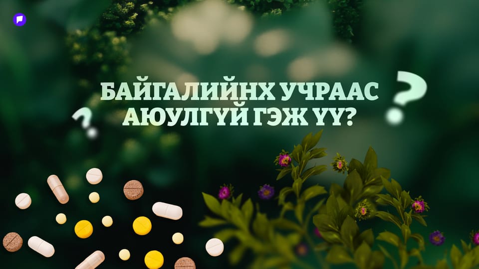 “Эмийн ургамлыг эмчийн зөвлөгөөгүй дур мэдэн хэрэглэх нь эрсдэлтэй”