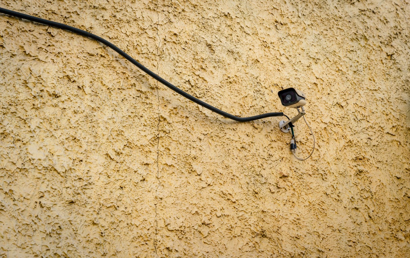 Frame 1261156948.jpg