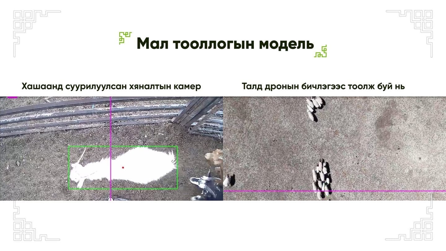 Image (2).jpeg