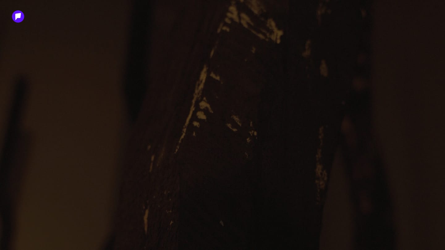 cover-6.jpg