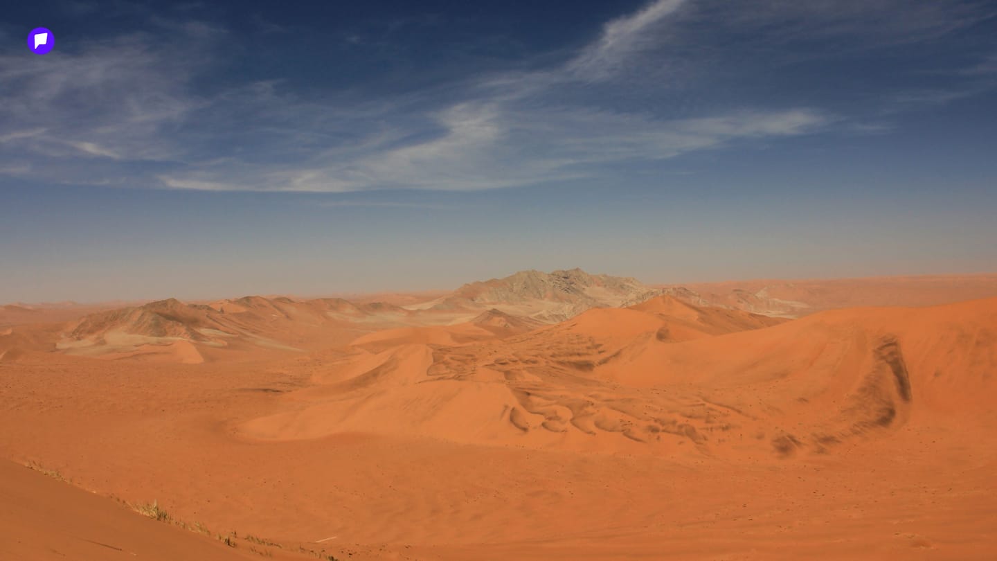 fin-1.jpg