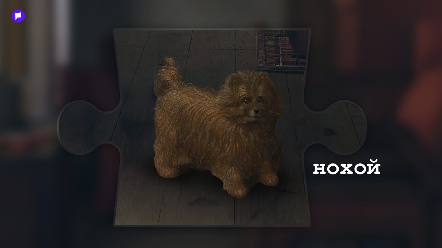 нохой.jpg
